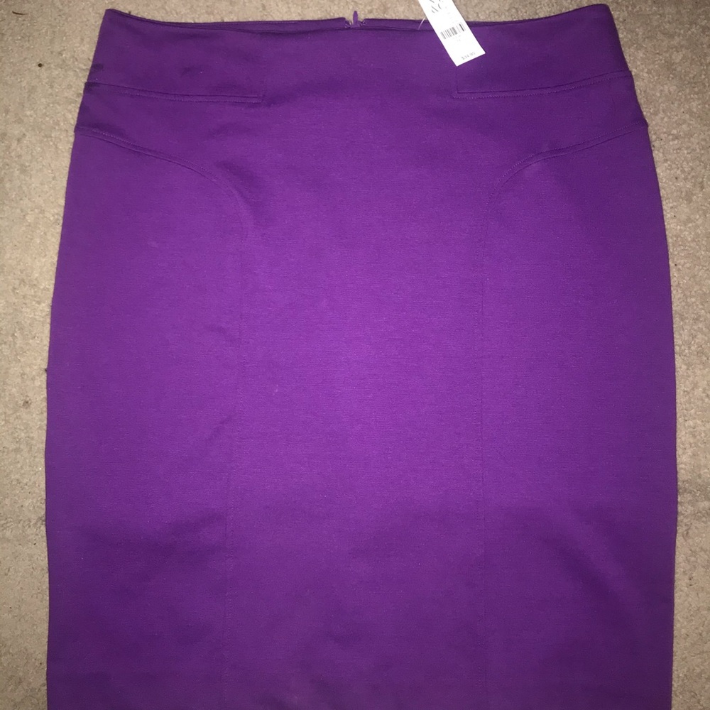 NWT New York &Co skirt